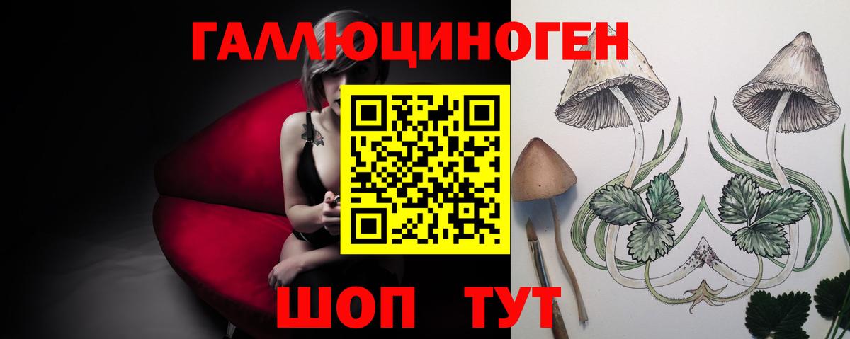 Галлюциногенные грибы Cubensis Чусовой